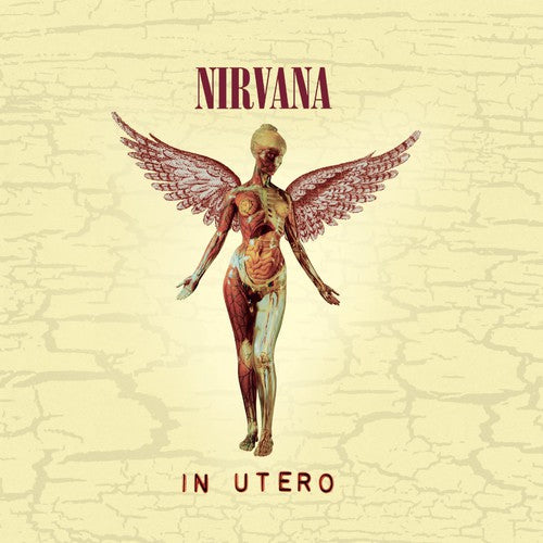 Nirvana - In Utero (20th Anniversary Edition) CD (Anniversary Edition, Jewel Case)