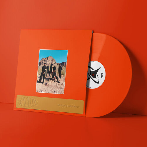 Leisure - Welcome to the Mood LP