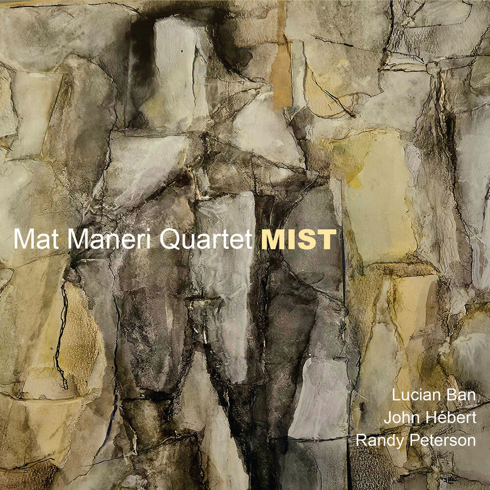 Mat Maneri - Mist CD