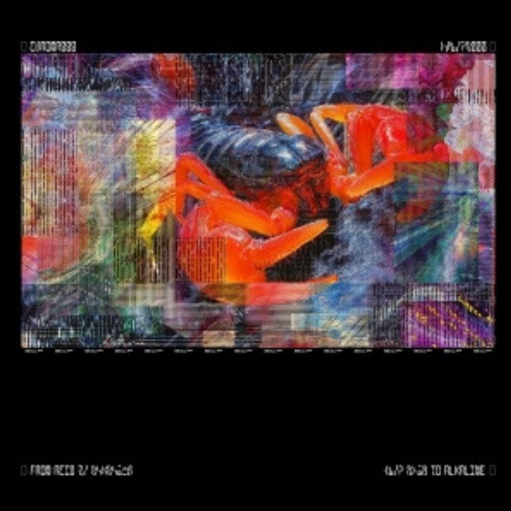 Bicep - Chroma 000 - {Vinyl LP}