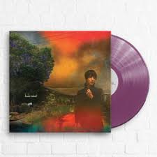 Sharon Van Etten - We've Been Going About This All Wrong LP (Purple Colored Vinyl)