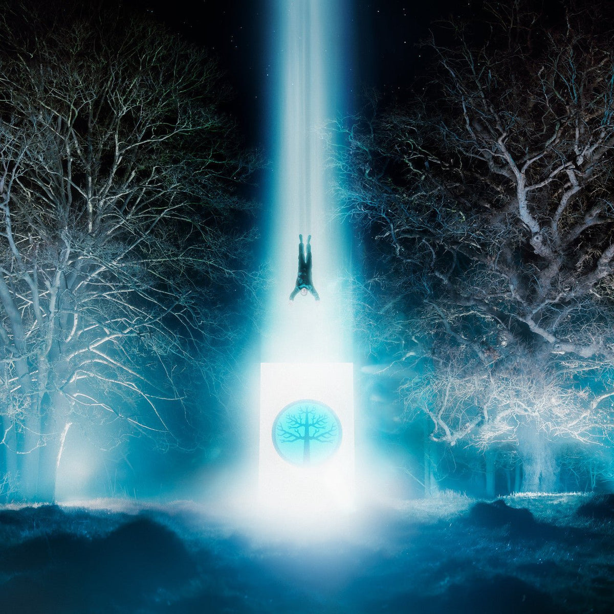 Enter Shikari - Lose Your Self - Clear {vinyl LP}