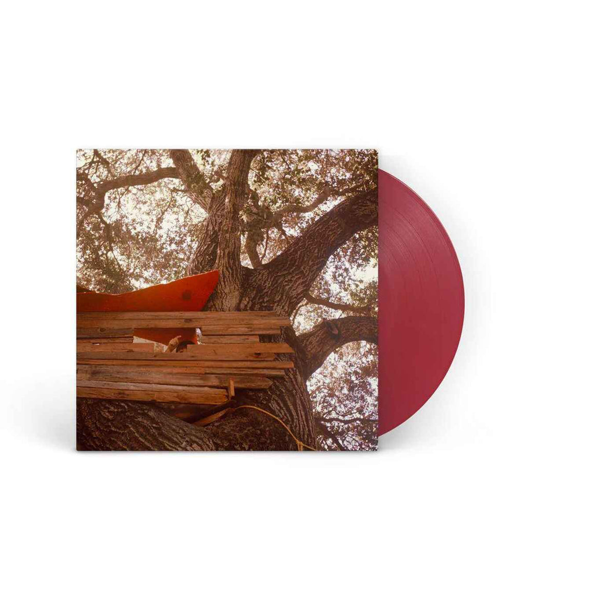 The Backseat Lovers - Waiting To Spill (Anniversary Edition) - Vinyl LP Record