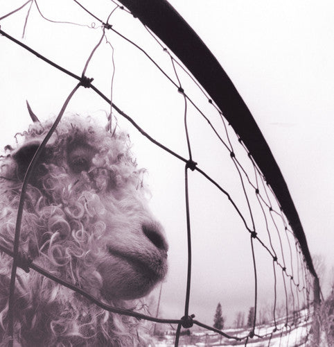 Pearl Jam -  VS. LP (Clear Colored Vinyl)