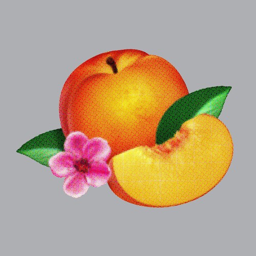 Phoenix - Bankrupt LP
