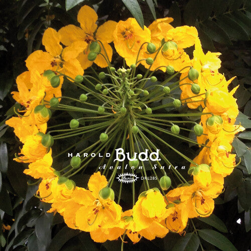 Harold Budd - Avalon Sutra 3LP (Limited Edition, Bonus Cd)