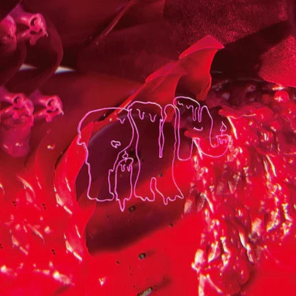 Arcade Fire - Pink Elephant LP (Indie Exclusive, Booklet, With Book, Sticker, Colored Vinyl)