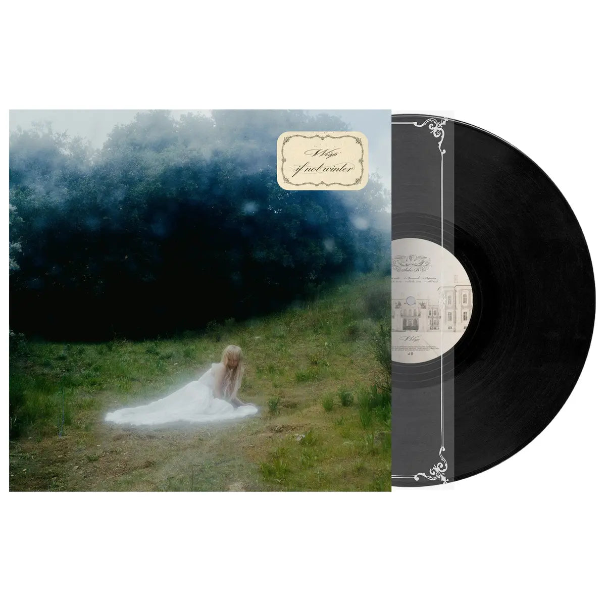 [DAMAGED] WISP - If Not Winter