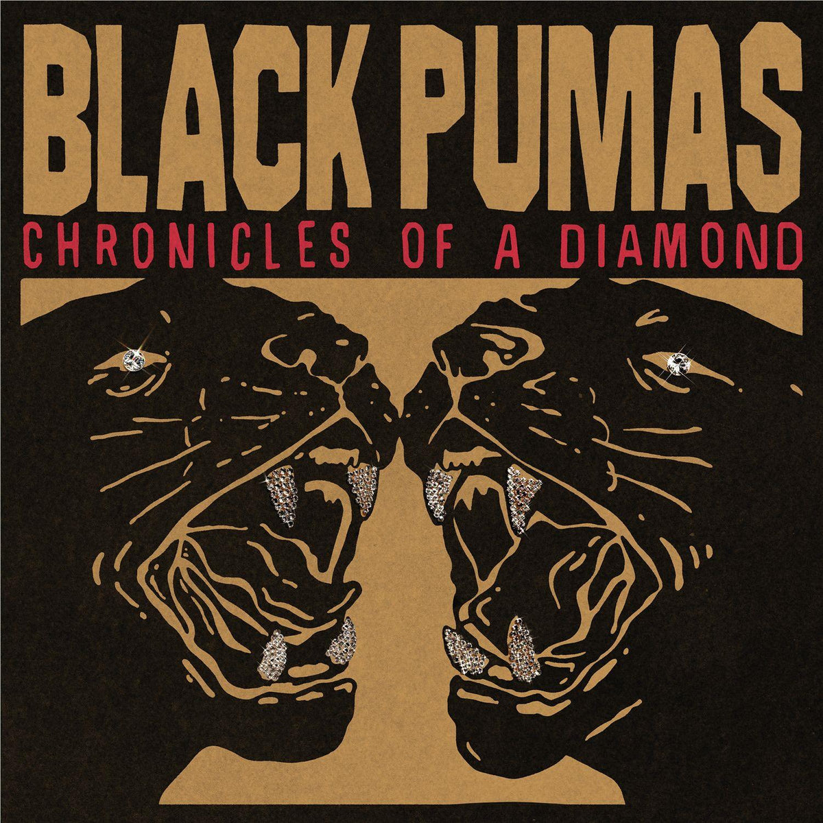 Black Pumas - Chronicles Of A Diamond - Vinyl LP Record