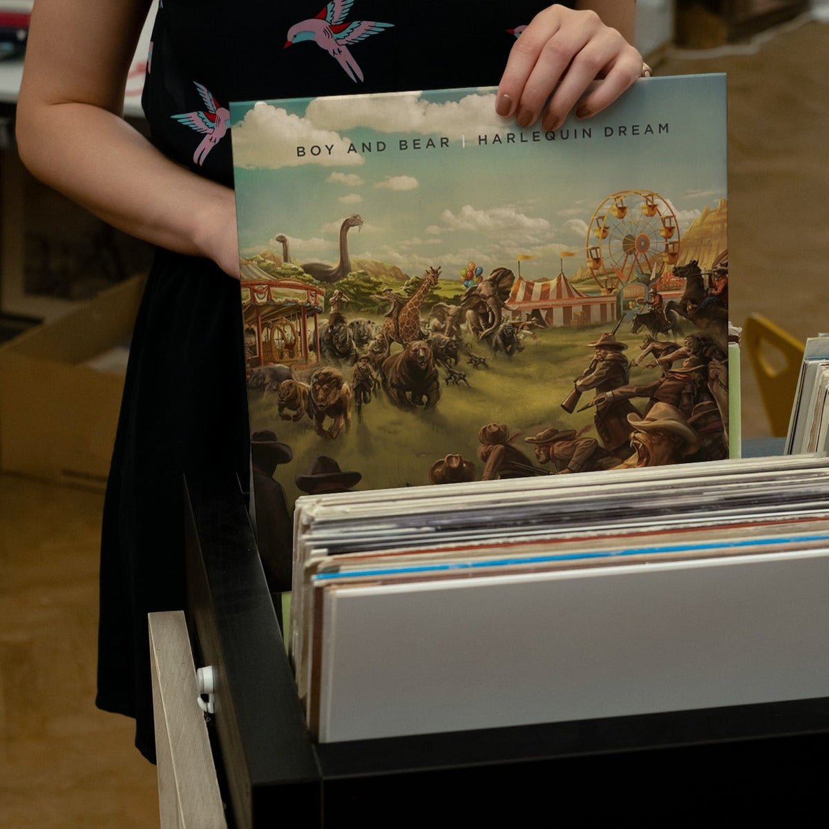 Boy & Bear - Harlequin Dream - (Vinyl LP)