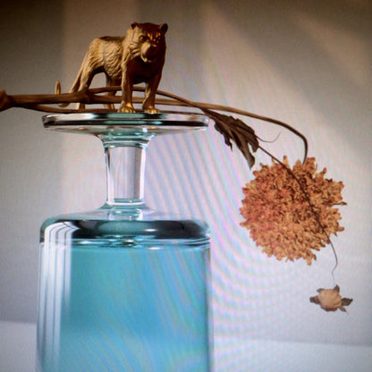 Beirut - Gallipoli LP (Indie Exclusive Turquoise Vinyl)