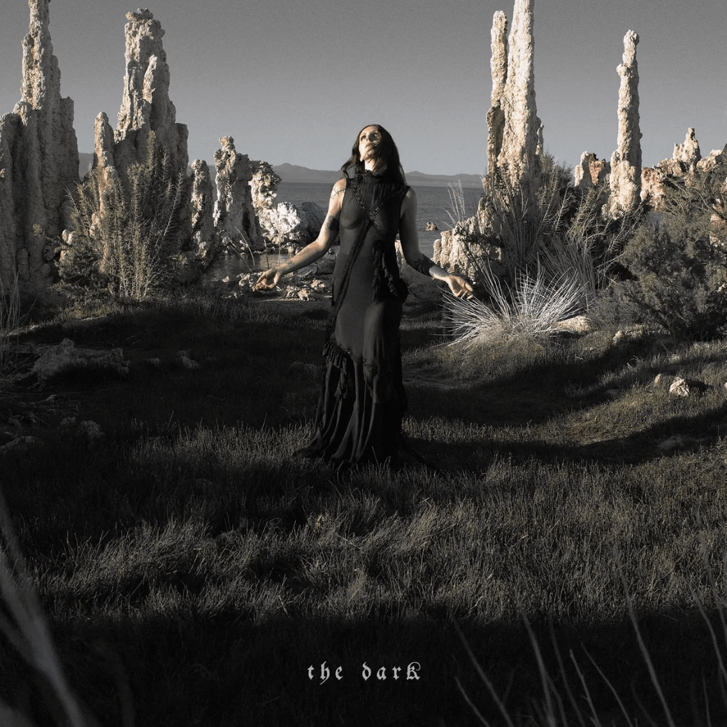 Chelsea Wolfe - The Dark - (Vinyl LP)