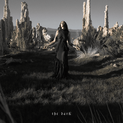 Chelsea Wolfe - The Dark - (Vinyl LP)