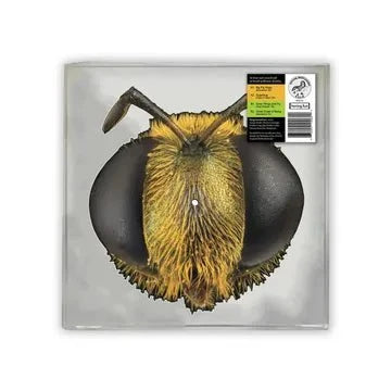 King Gizzard & The Lizard Wizard - Big Fig Wasp - RSD 2026 Bee Shaped Picture Disc Vinyl LP Record