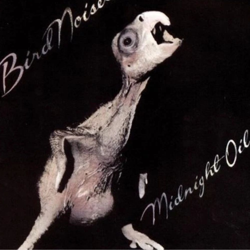 Midnight Oil - Bird Noises - (LP Vinyl )