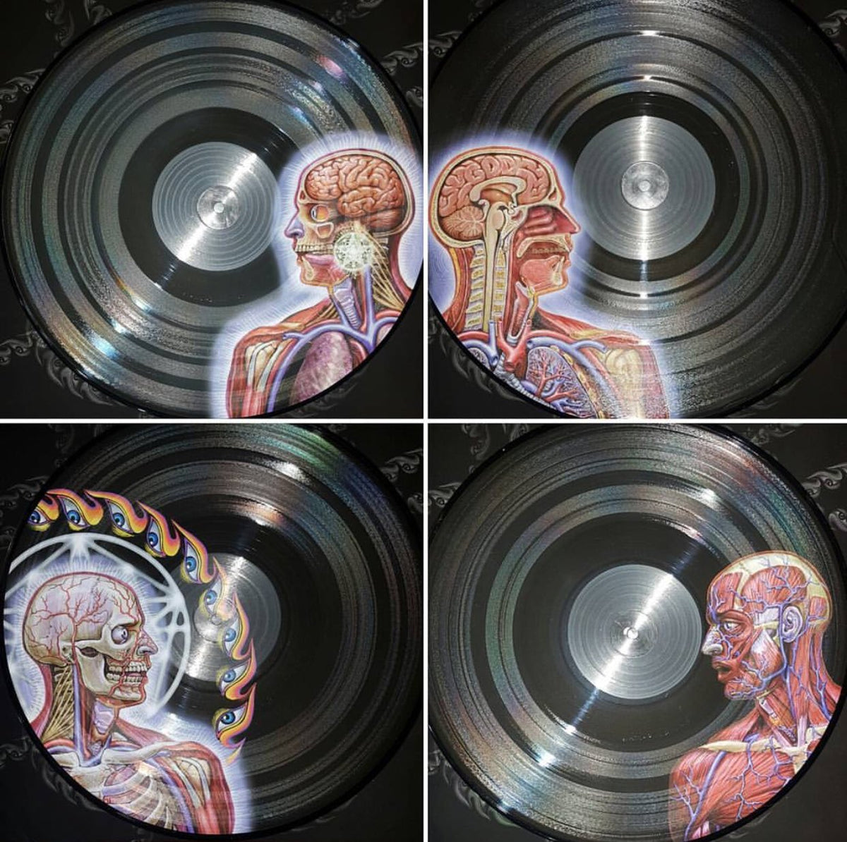 Tool - Lateralus - Limited Edition Picture Disc {vinyl LP}