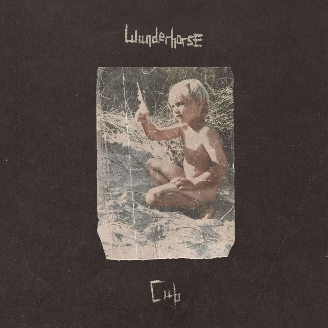 Wunderhorse - Cub - Vinyl LP Record